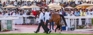 IMG20250124WA0016 امدر تايمز